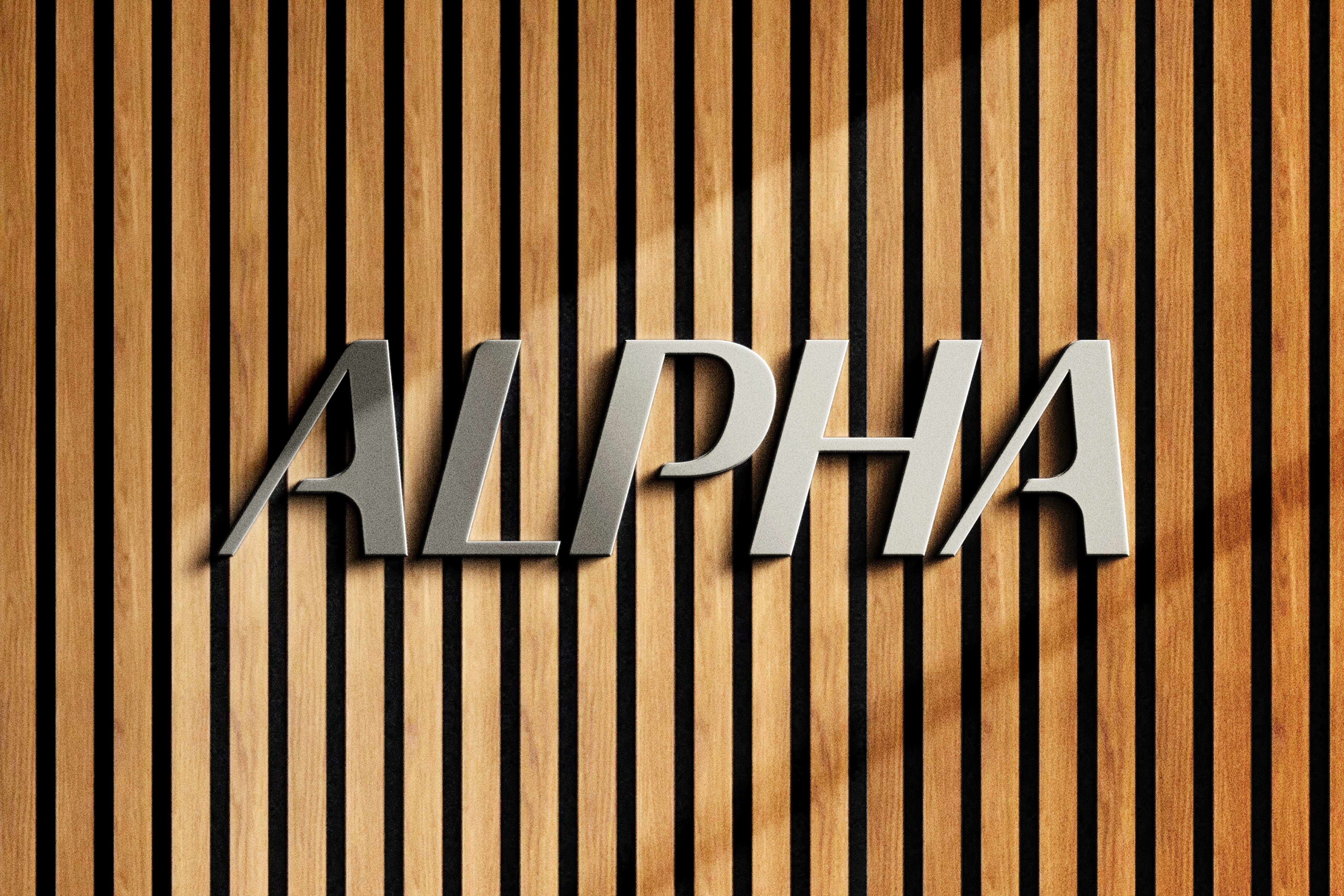 A Refined Look, the Same Alpha Standard – Alpha Bicycle Studio
